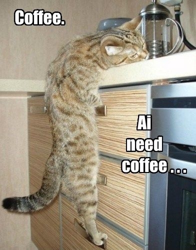 Coffee Coffee