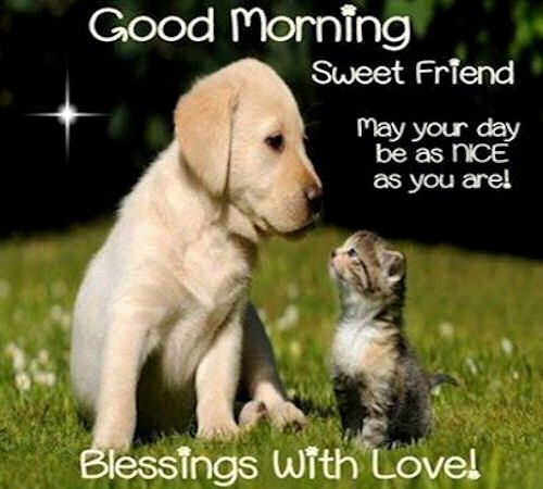 Good Morning