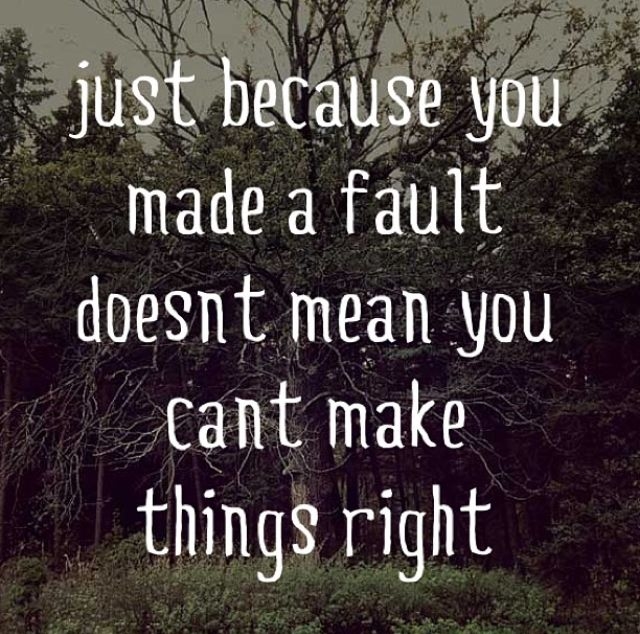Just Because You Made A Fault