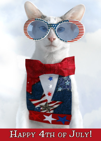 Happy 4th of Jully