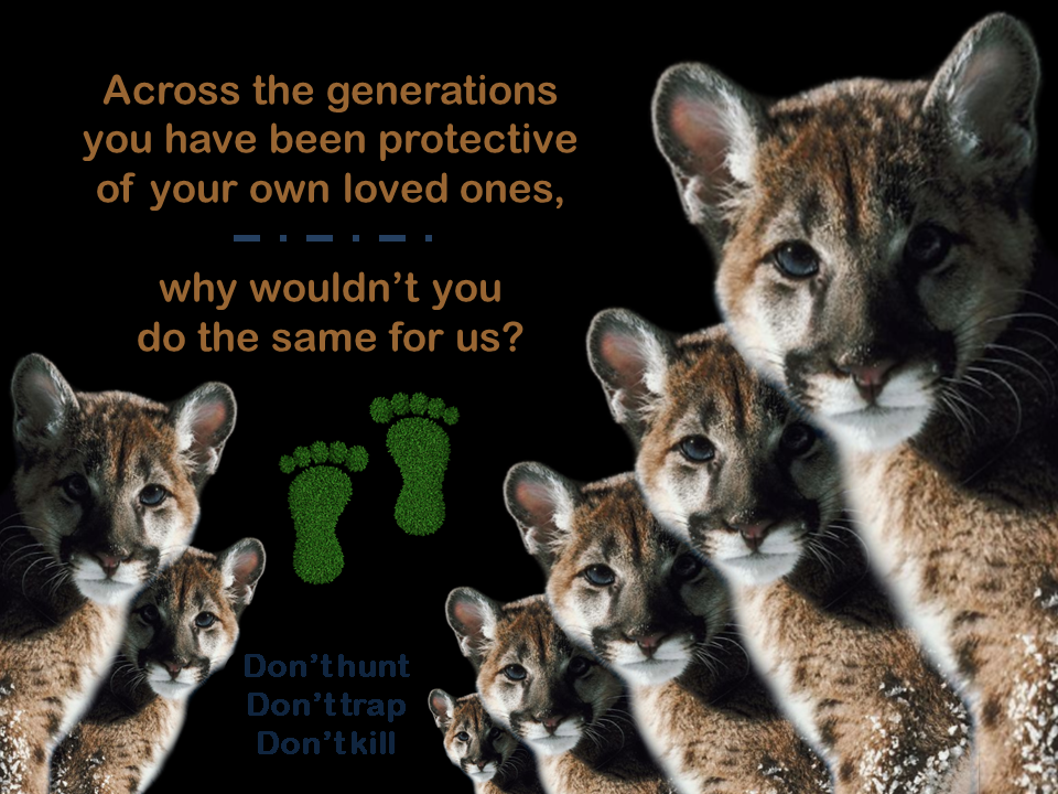 don't hunt, don't trap, don't kill don't hunt, don't trap, don't kill