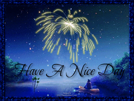 Have a Nice Day Fireworks