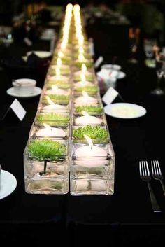 Row of white candles