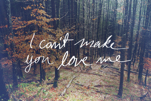 I cant make you love me
