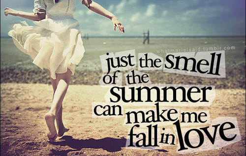 the smell of summer