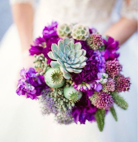 Sedum Bridal Bouquet Sedum Bridal Bouquet