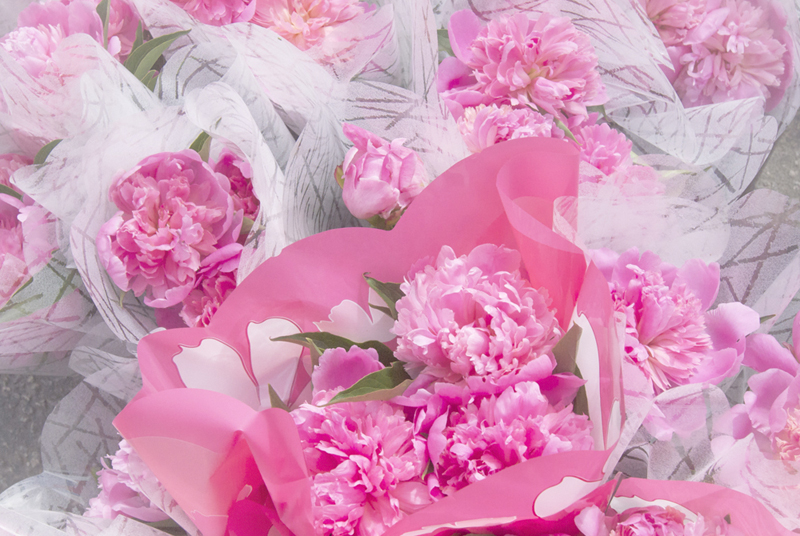 Pink Bouquets