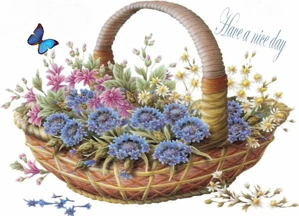 Have a nice day Have a nice day