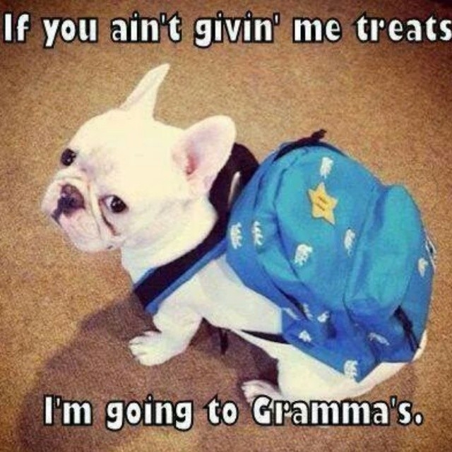 Going to Grammas Going to Grammas