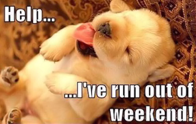 I've run out of weekend I've run out of weekend
