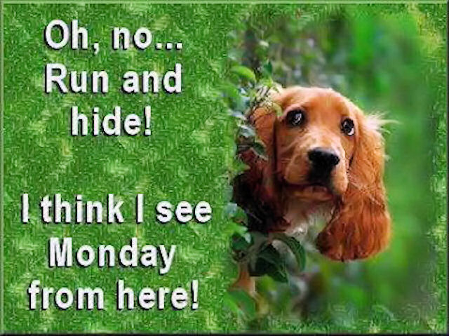 I think I see Monday