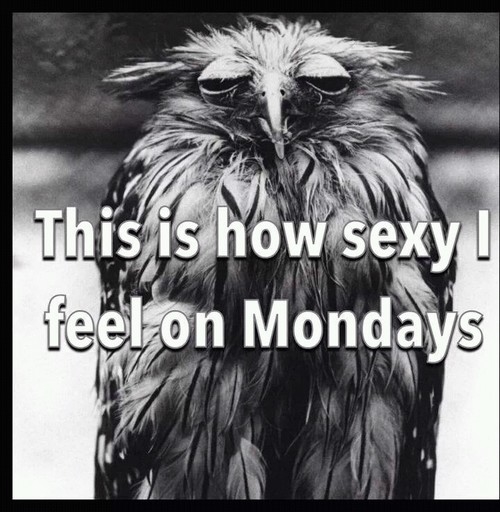 How sexy I feel on Mondays How sexy I feel on Mondays