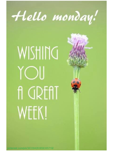Hello Monday