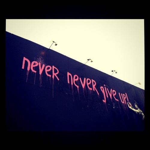 Never never give up Never never give up