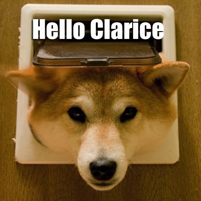 Hello Clarice Hello Clarice