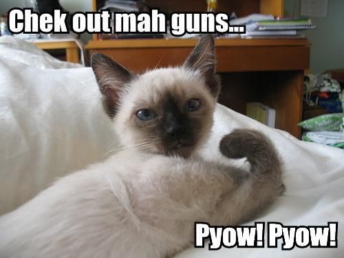Check out mah guns