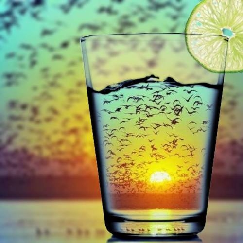 liquid dreams liquid dreams