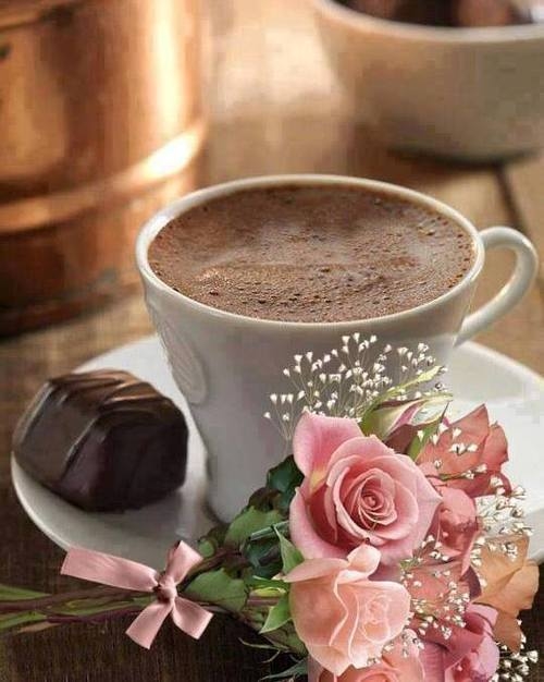 Chocolate and roses Chocolate and roses