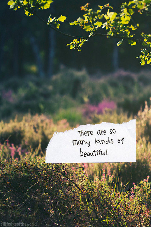 So many kinds of beautiful