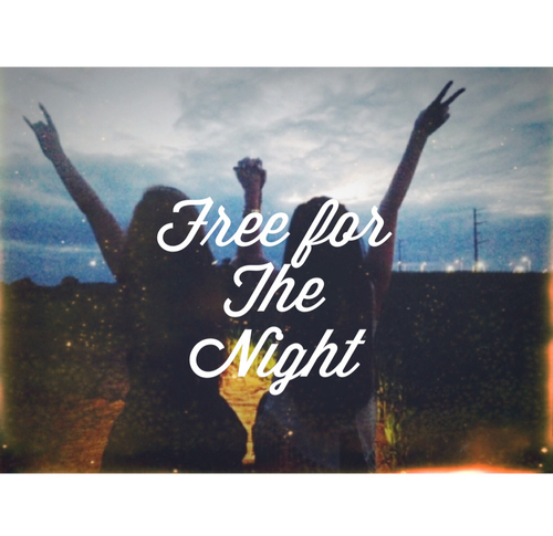 Free for the night Free for the night