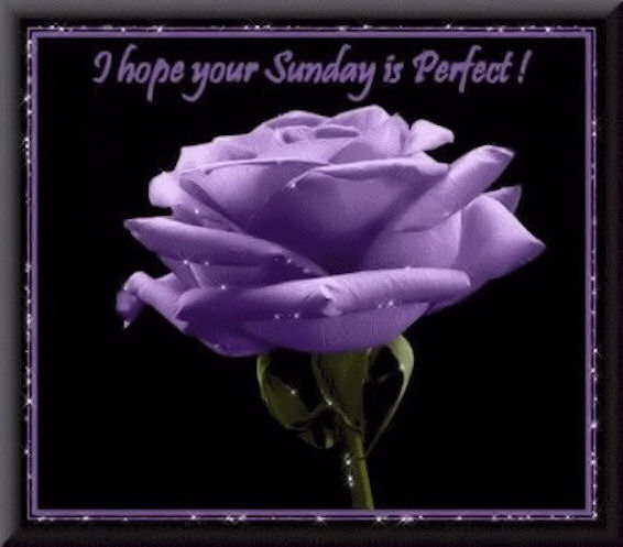 Have a great Sunday Have a great Sunday