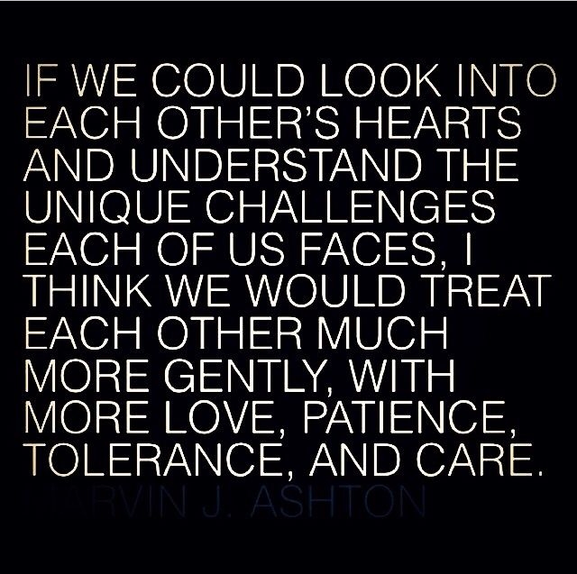 If We Could Look If We Could Look