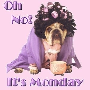 Oh No It's Monday Oh No It's Monday