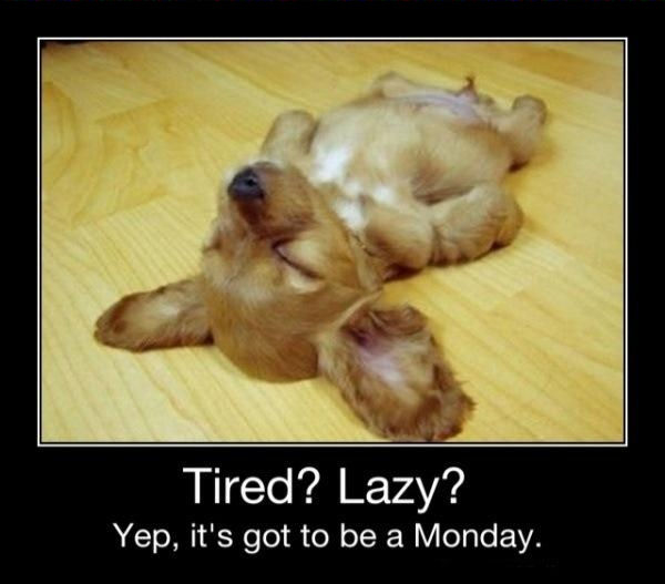 It's got to be monday It's got to be monday