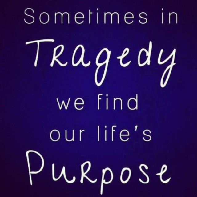 We find lifes purpose