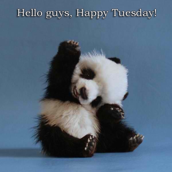 Happy Tuesday