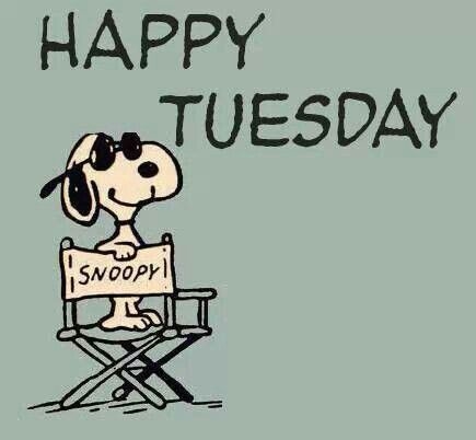 Happy Tuesday Happy Tuesday