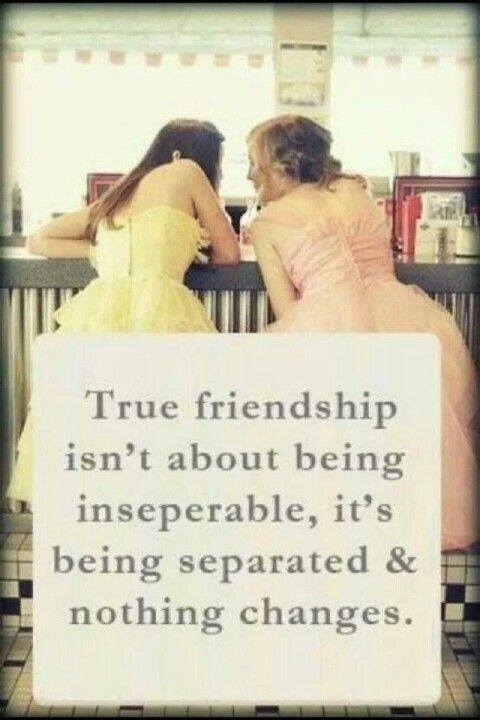 True Friendship True Friendship