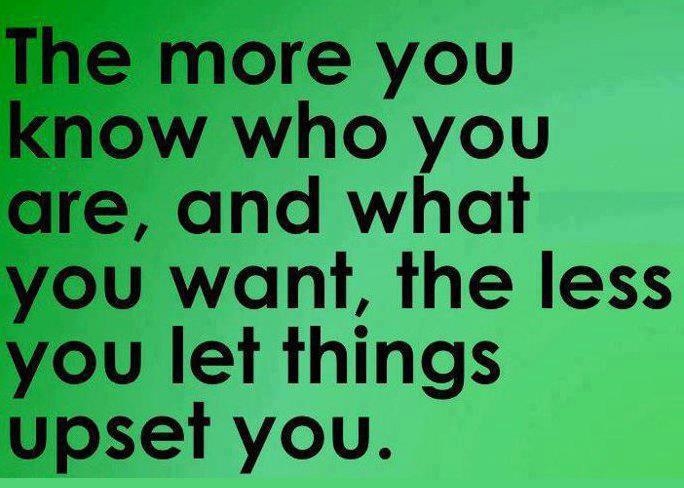 The more you know who you are The more you know who you are