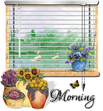 Morning
