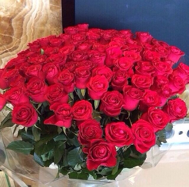 Red Roses Red Roses