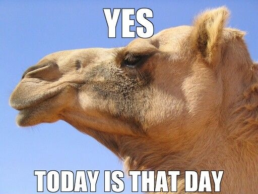 It's Humpday It's Humpday
