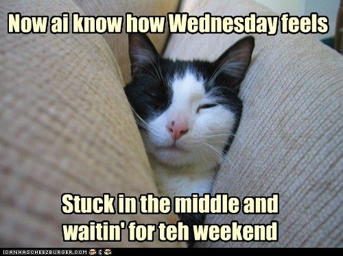 I know how Wednesday feels I know how Wednesday feels