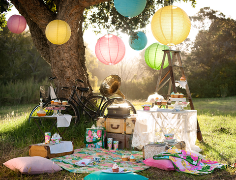 Festive Picnic Festive Picnic