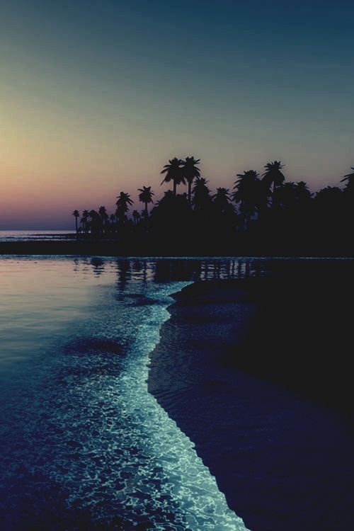 Take me to paradise