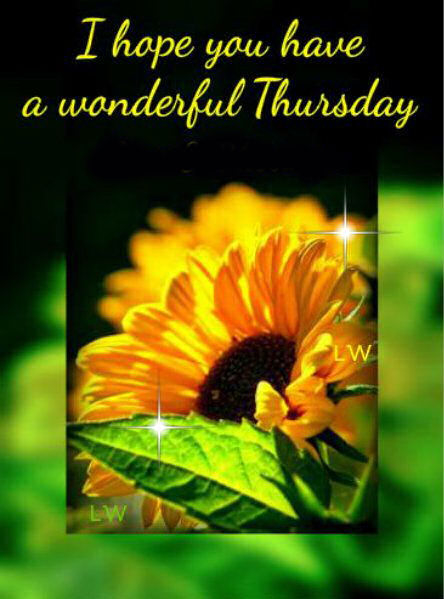 Have a wonderful Thursday Have a wonderful Thursday