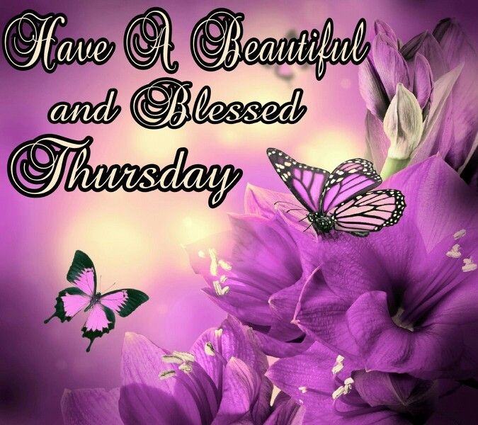 Have a beautiful Thursday Have a beautiful Thursday