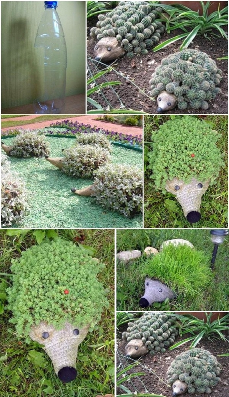 DIY Plastic Bottle Hedgehog Planter