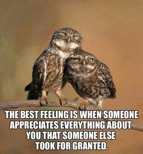 The best feeling The best feeling