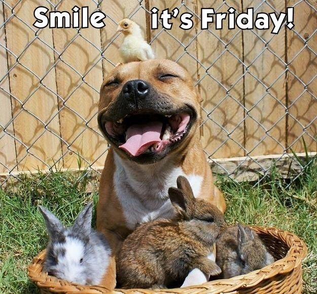Smile it's Friday Smile it's Friday