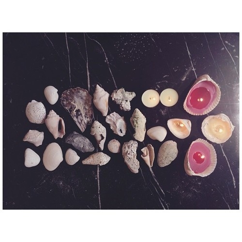Seashell Candles