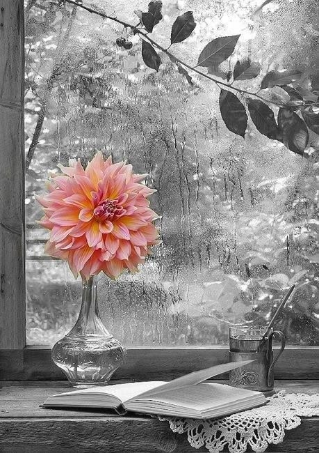 Beauty in the rain