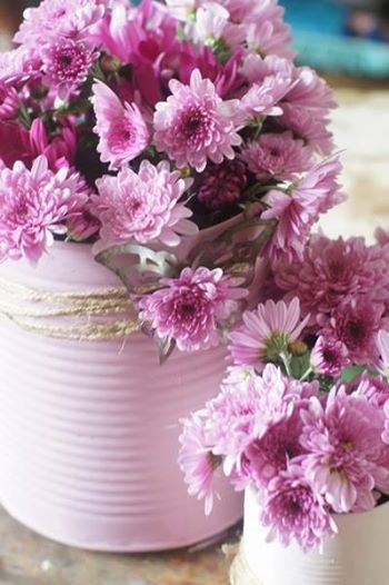 Pink Mums in Tin Cans Pink Mums in Tin Cans