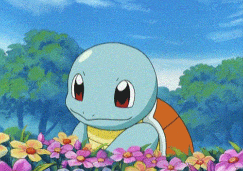 Turtle Smelling Flowers