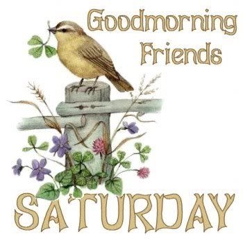 Good Morning Saturday Good Morning Saturday