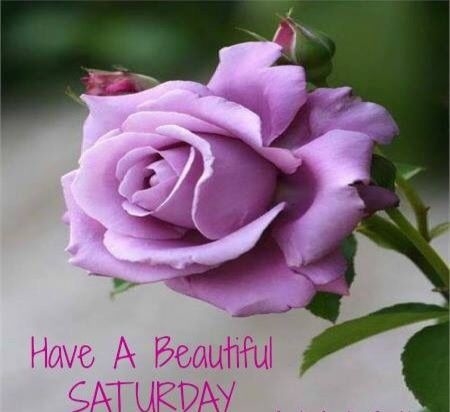 Have a beautiful Saturday Have a beautiful Saturday